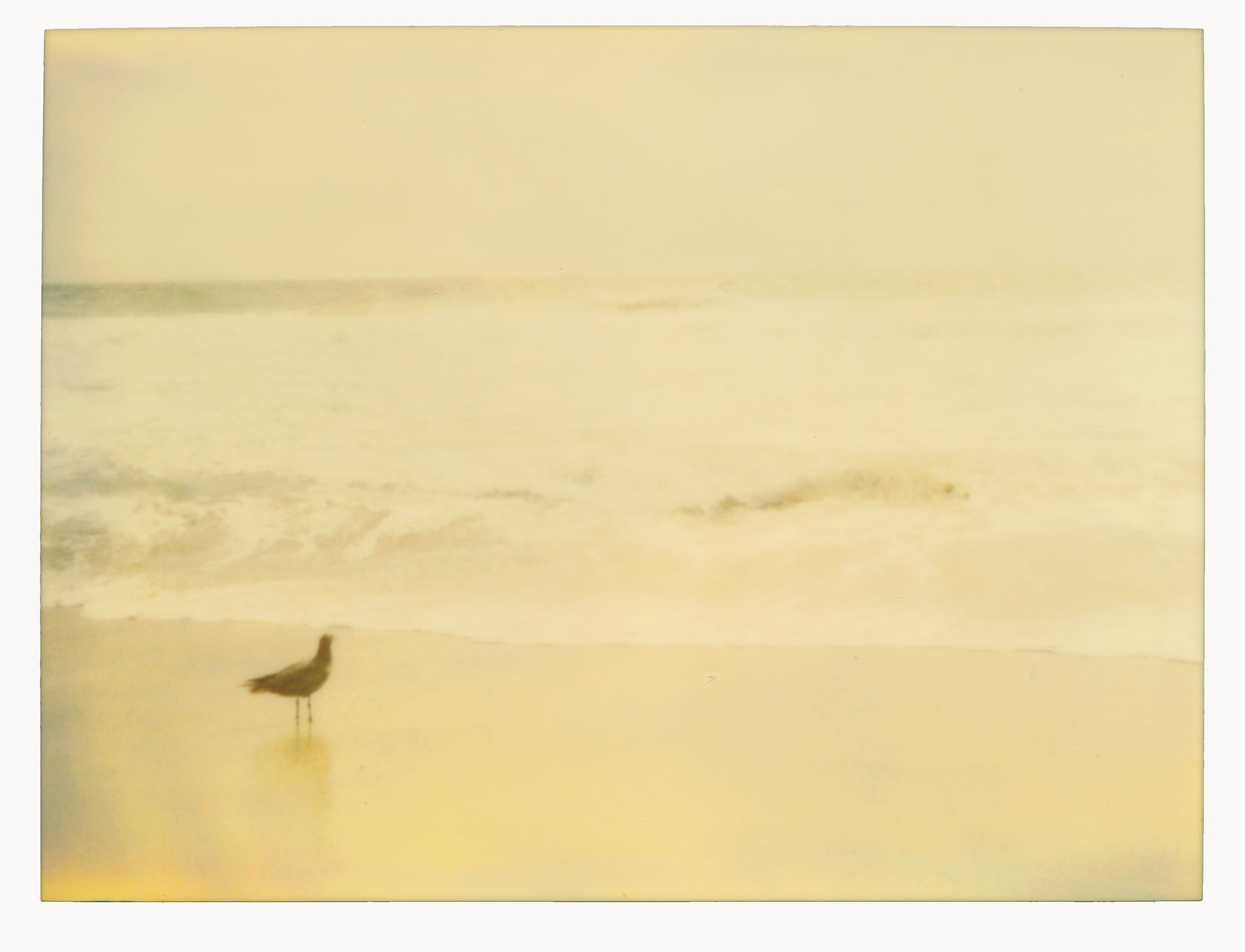 Stefanie Schneider Landscape Photograph - By the Sea (Zuma Beach)