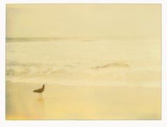 Au bord de la mer (Zuma Beach)