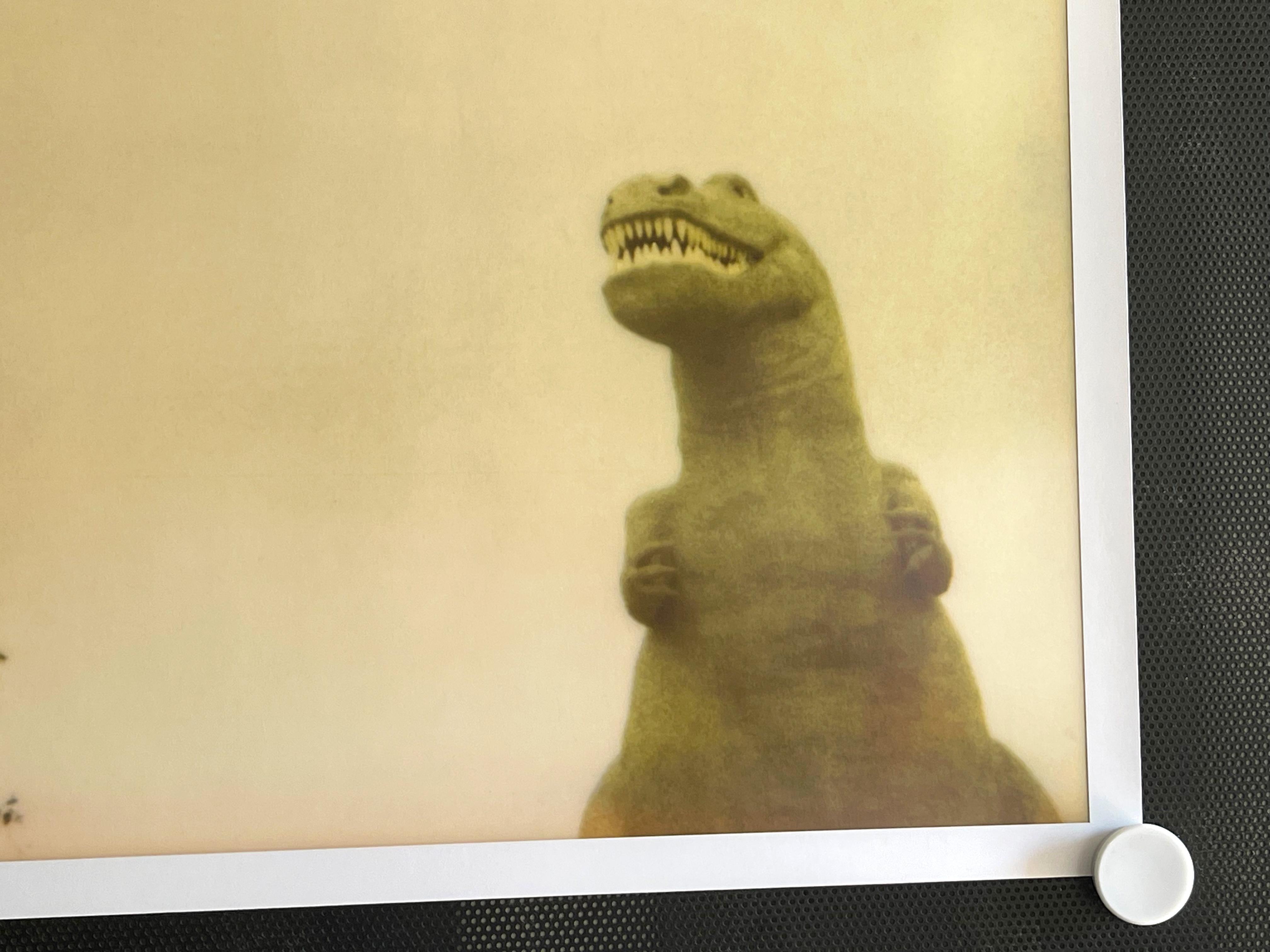 Cabazon Dinosaurs (Drive to the Desert) - 2000

44x59cm, 
Edition 5/5. 
A.I.C. C-Print analogique, basé sur le Polaroid. 
Label de certificat et de signature. 
Inventaire de l'artiste #155.05. 
Non monté. 

Stefanie Schneider vit et travaille dans