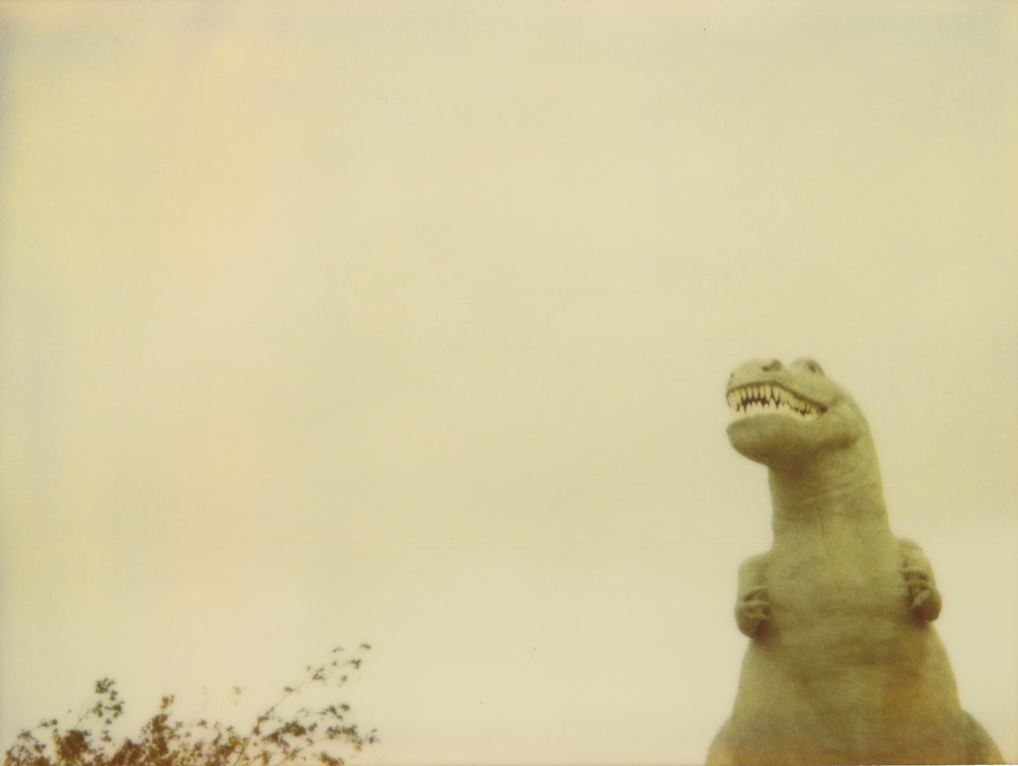 Stefanie Schneider Color Photograph - Cabazon Dinosaurs (Stranger than Paradise)