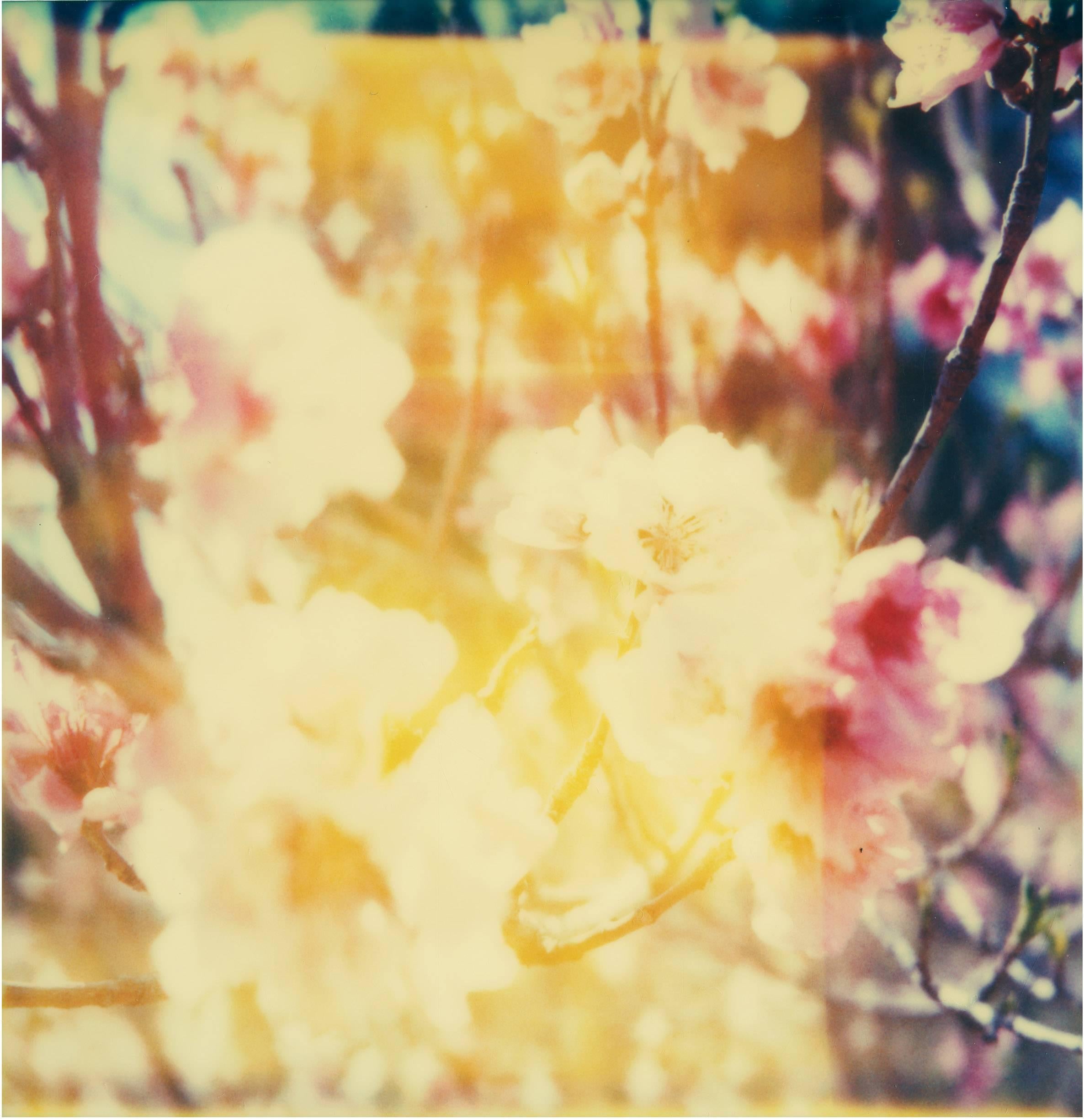 Cerezos en flor (Hasta que la muerte nos separe) - Polaroid, Siglo XXI, Color - Photograph de Stefanie Schneider