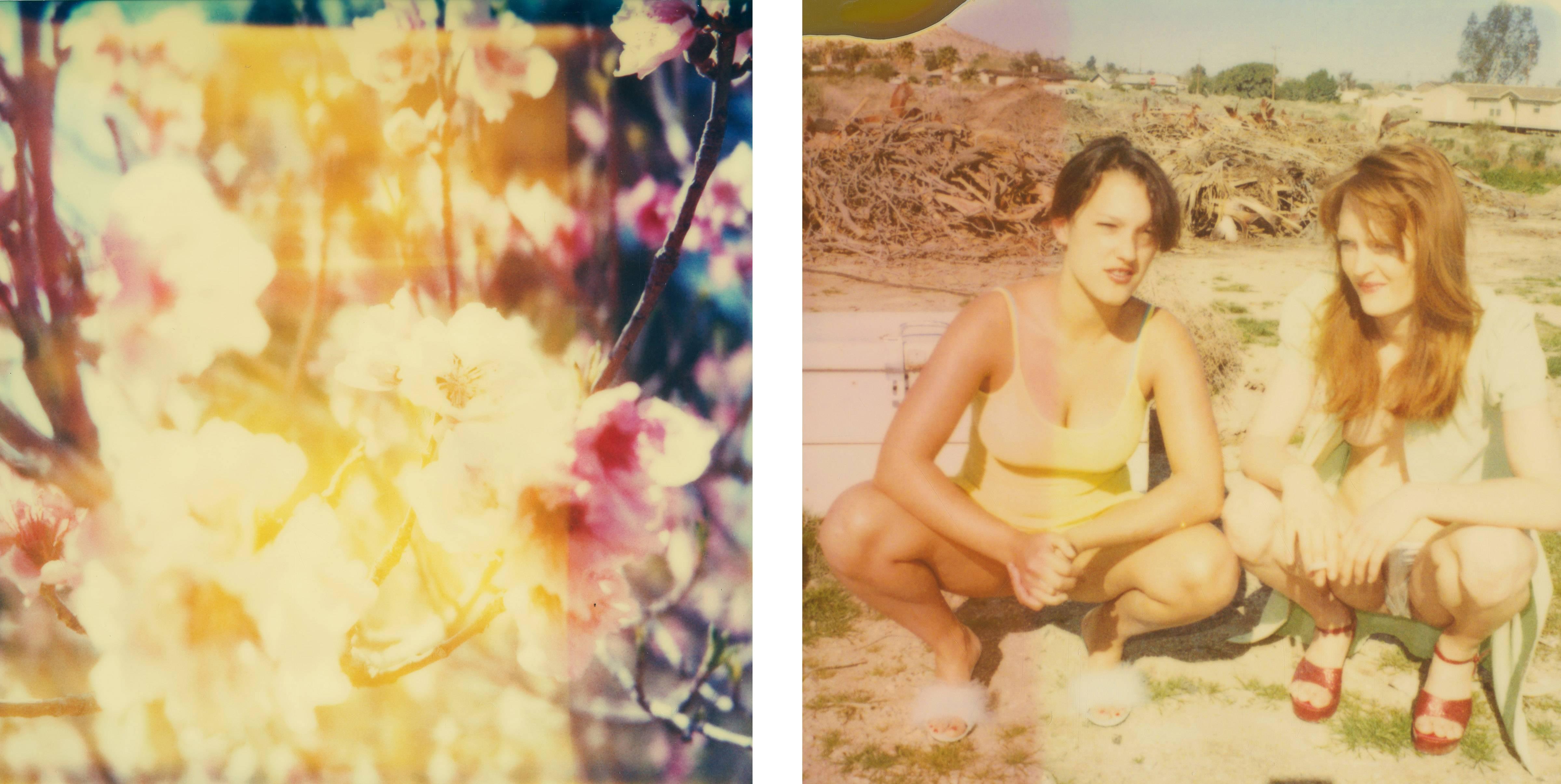 Stefanie Schneider Color Photograph – Kirschbaumblütenblüten - Till Death du us Part, Diptychon