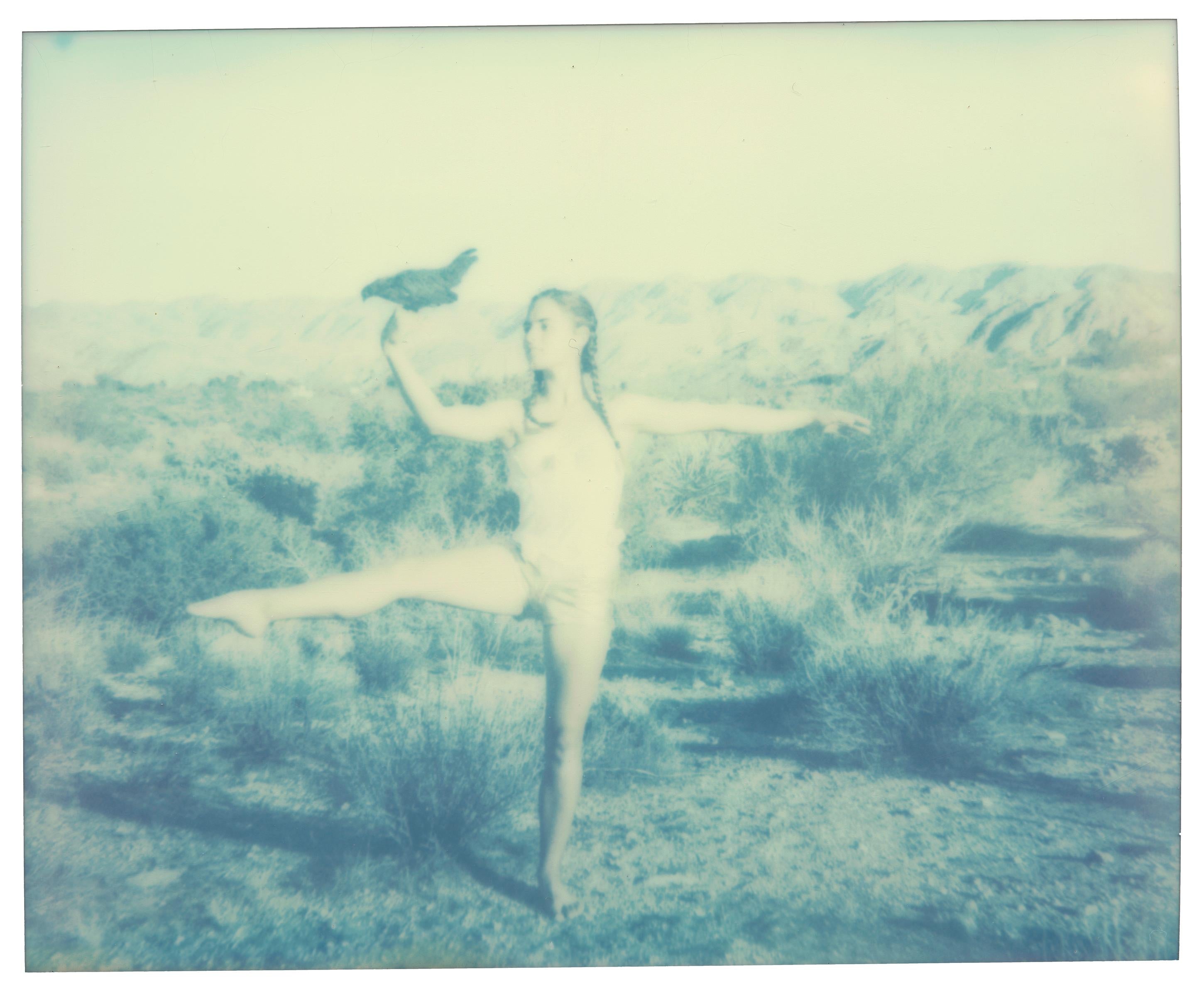 Stefanie Schneider Black and White Photograph - Chicken Ballet (Chicks and Chicks and sometimes Cocks) - Polaroid, Contemporary