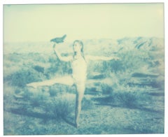Ballet de poulet (Poulets et poupées et parfois poupées) - Polaroid, contemporain