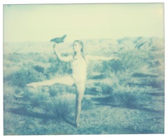 Chicken Ballet (Hühner und Küken, manchmal auch Küken) – Polaroid, Zeitgenössisch