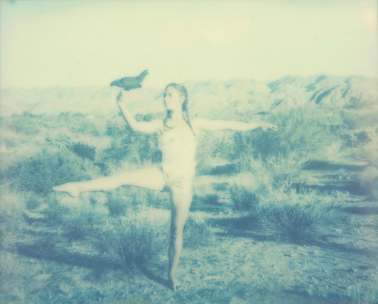 Landscape Photograph Stefanie Schneider - Ballet des poulets (Poussins et poussins)  - Polaroïd
