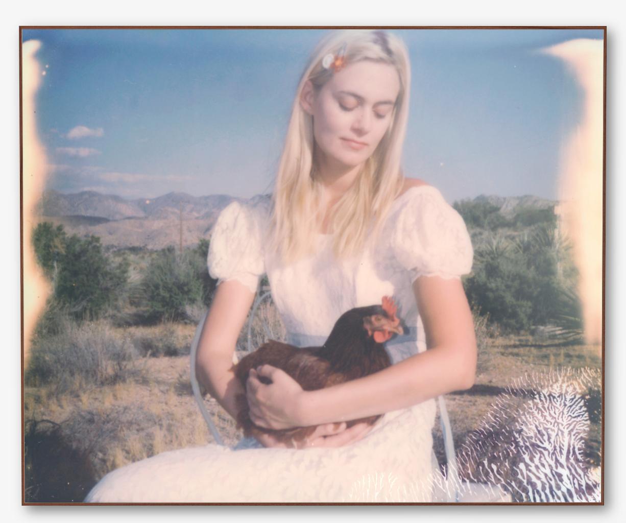 Chicken Madonna (Chicks and Chicks and sometimes Cocks) - Photograph by Stefanie Schneider