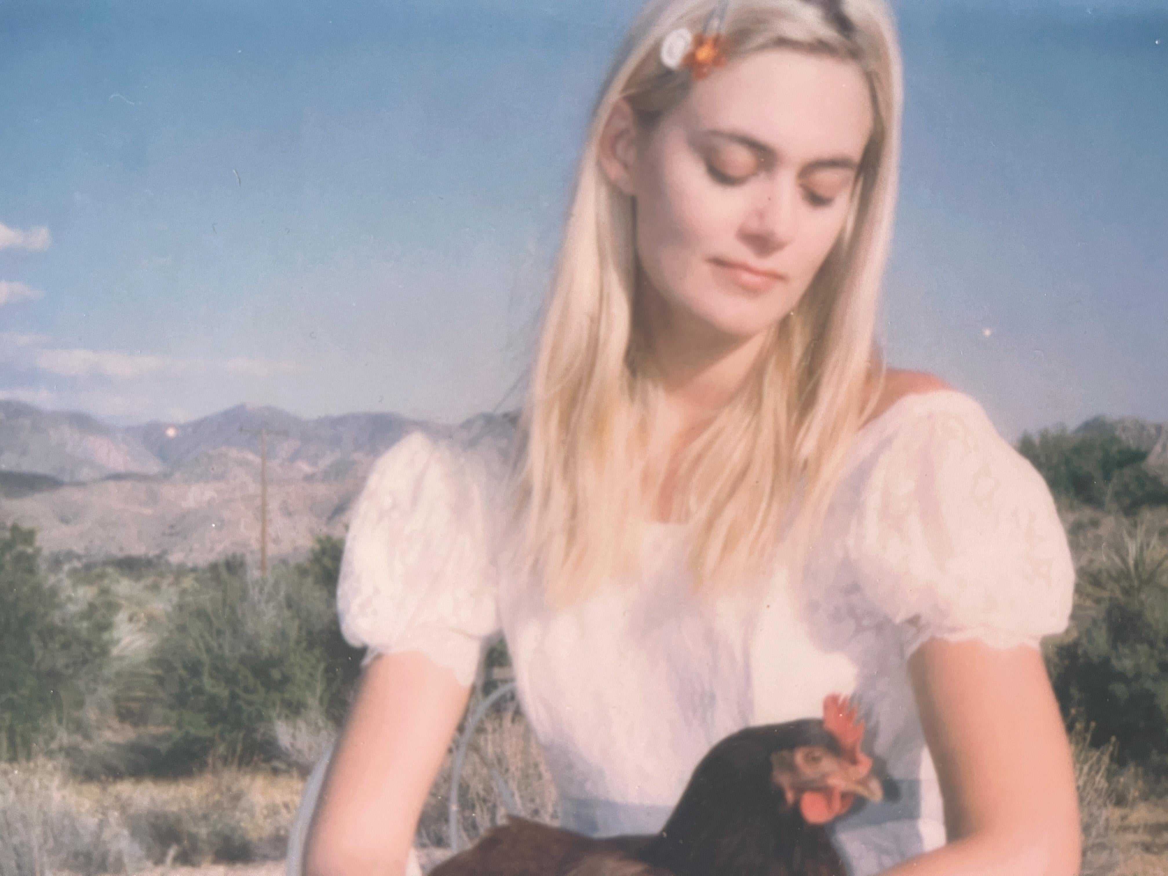 Chicken Madonna (Pulcini e pulcini e a volte galli) - Photograph Contemporaneo di Stefanie Schneider