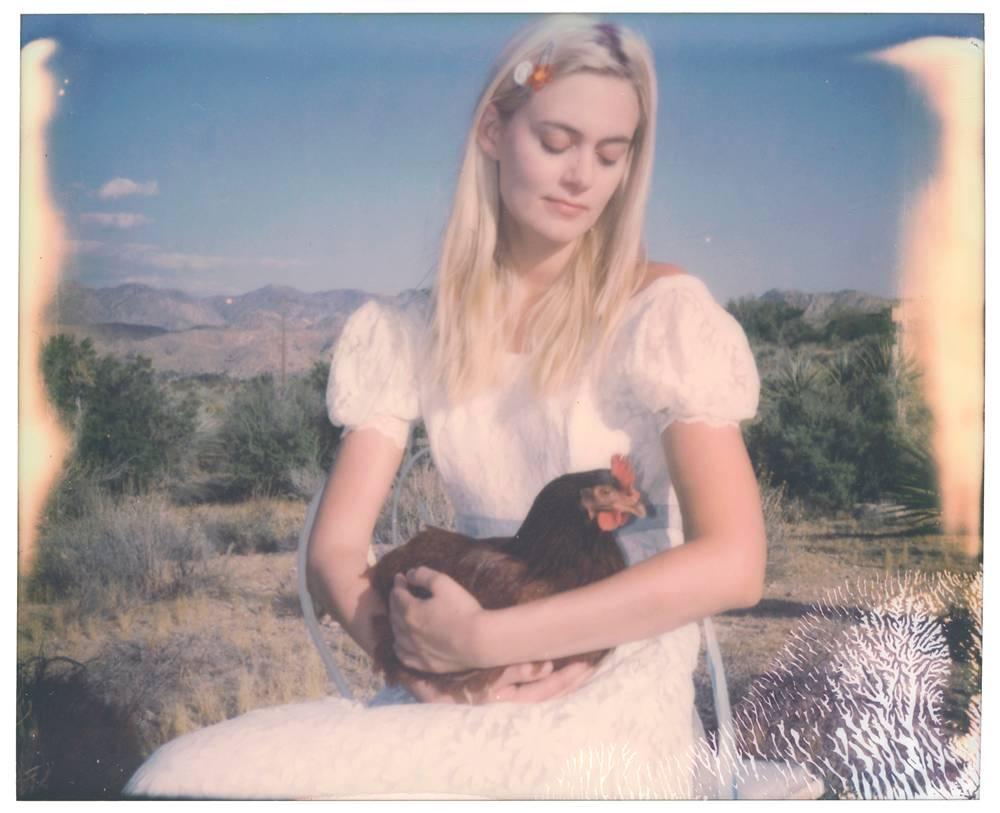 Stefanie Schneider Portrait Photograph - Chicken Madonna (Chicks and Chicks and sometimes Cocks)