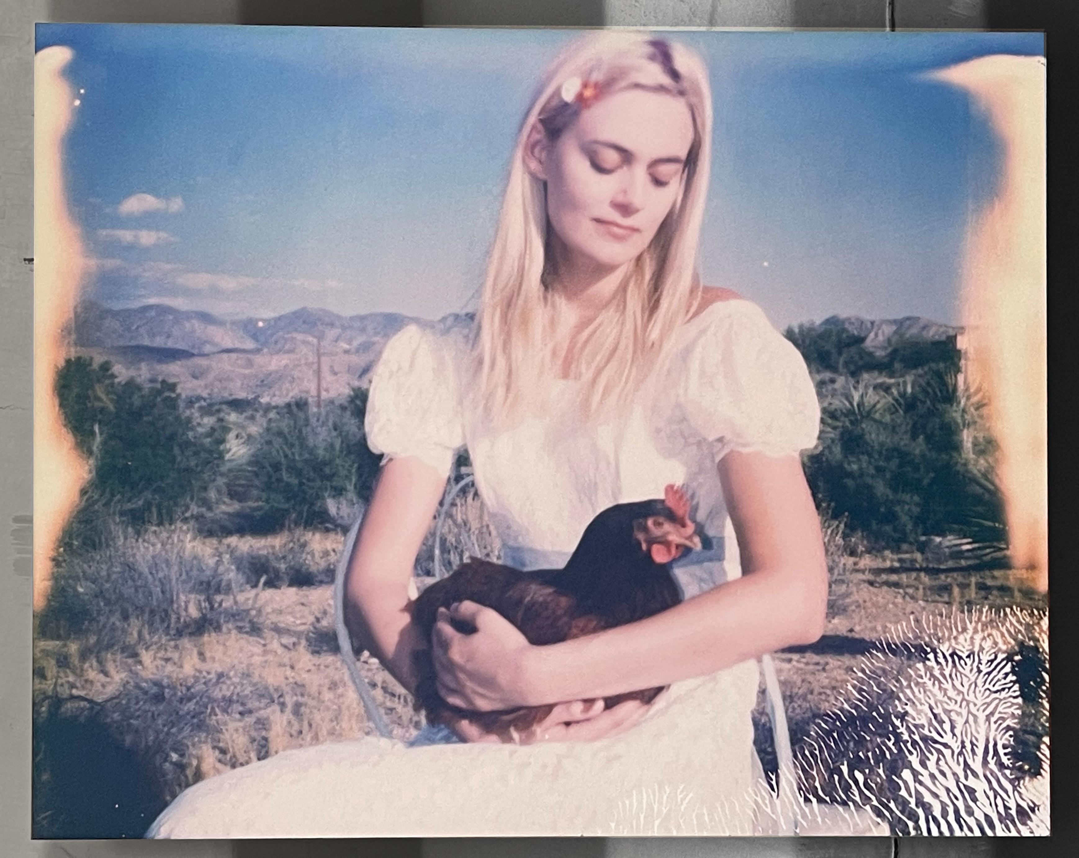 Madonna dei polli (Pulcini e pulcini e a volte galli) - montato - Color Photograph Grigio di Stefanie Schneider