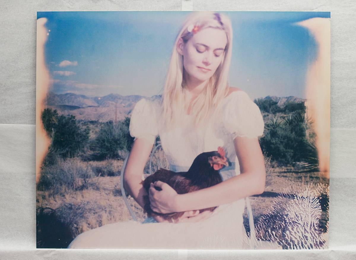 Chicken Madonna (Chicks and Chicks...) - Contemporary Photograph by Stefanie Schneider