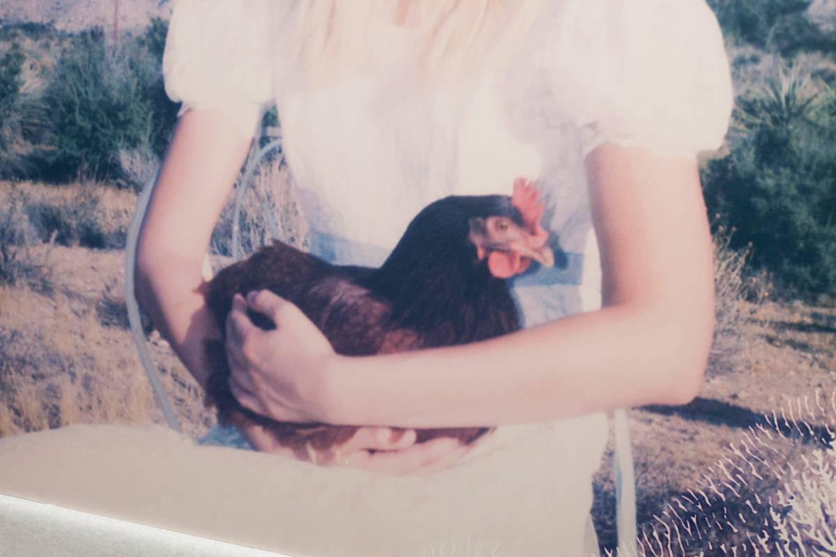 Chicken Madonna (Chicks and Chicks and sometimes Cocks) - 2016, 

100x125cm, Edition 2/10, 
Archival Lambda Print, based on a Polaroid,
Signed on back with Certificate. 
Artist Inventory #19520.  
Mounted on Aluminum with matte UV-Protection.