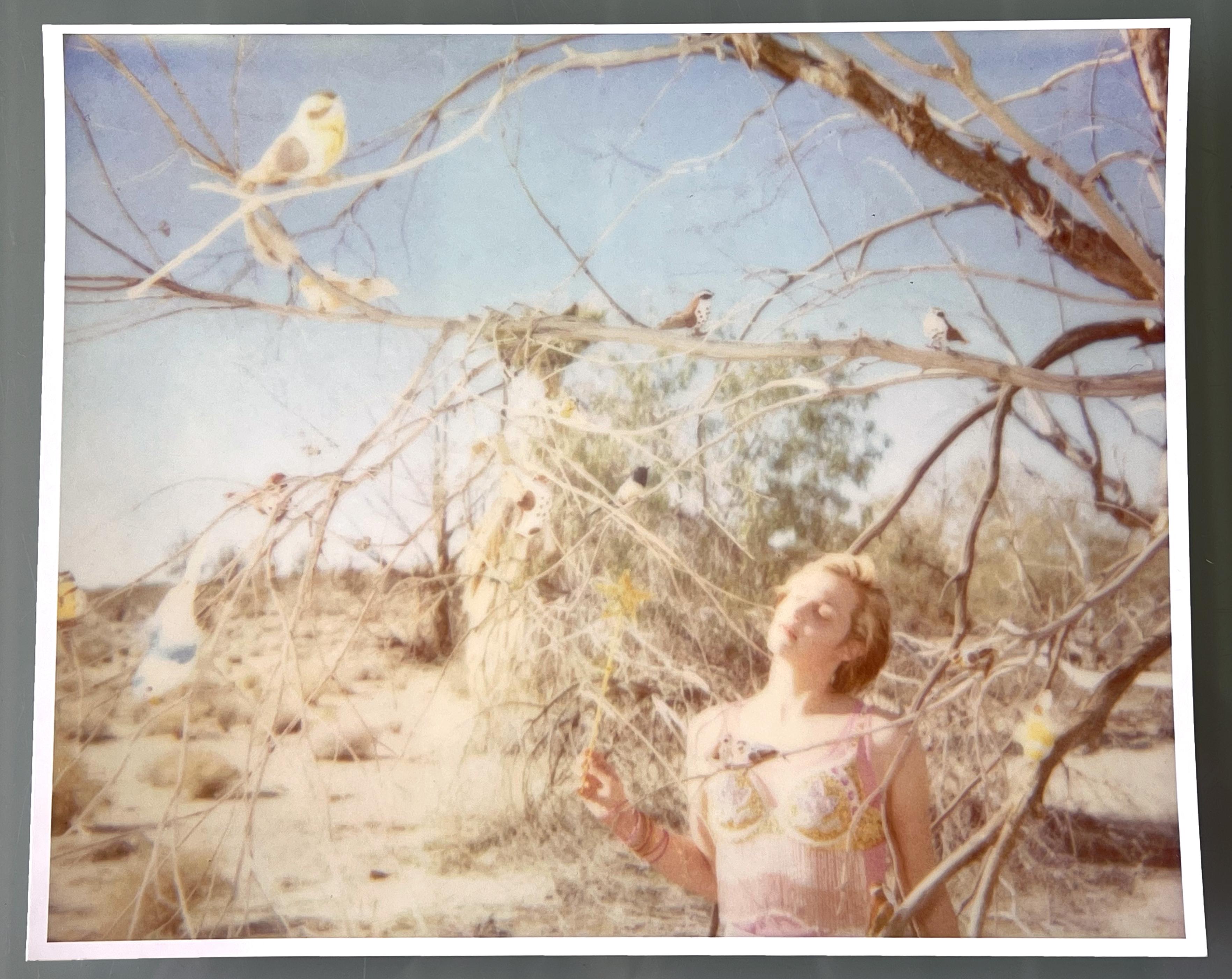 Cerchio della Magia - Incantesimo (29 Palms, CA) - Photograph di Stefanie Schneider