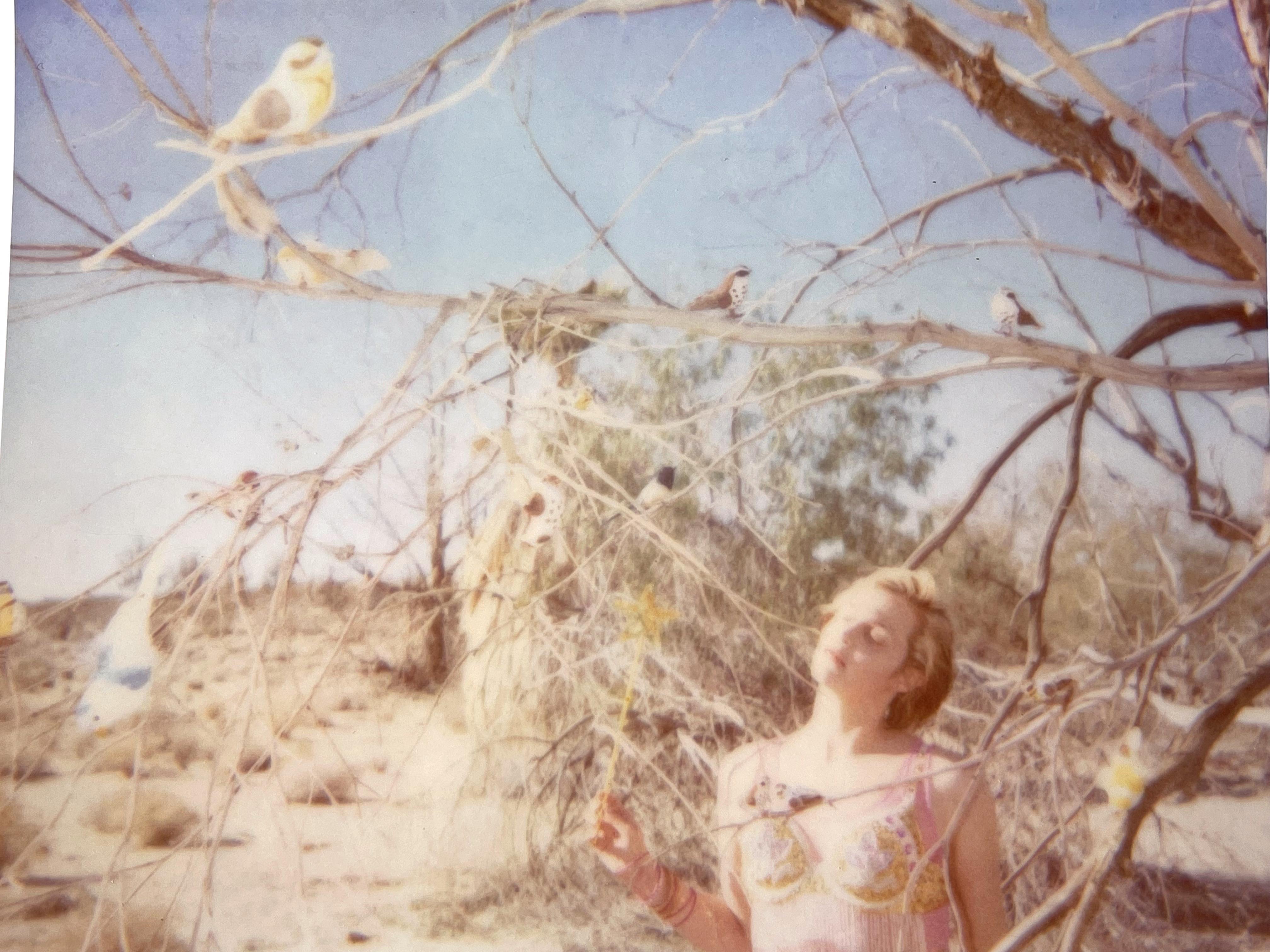 Cerchio della Magia - Incantesimo (29 Palms, CA) - Photograph Contemporaneo di Stefanie Schneider