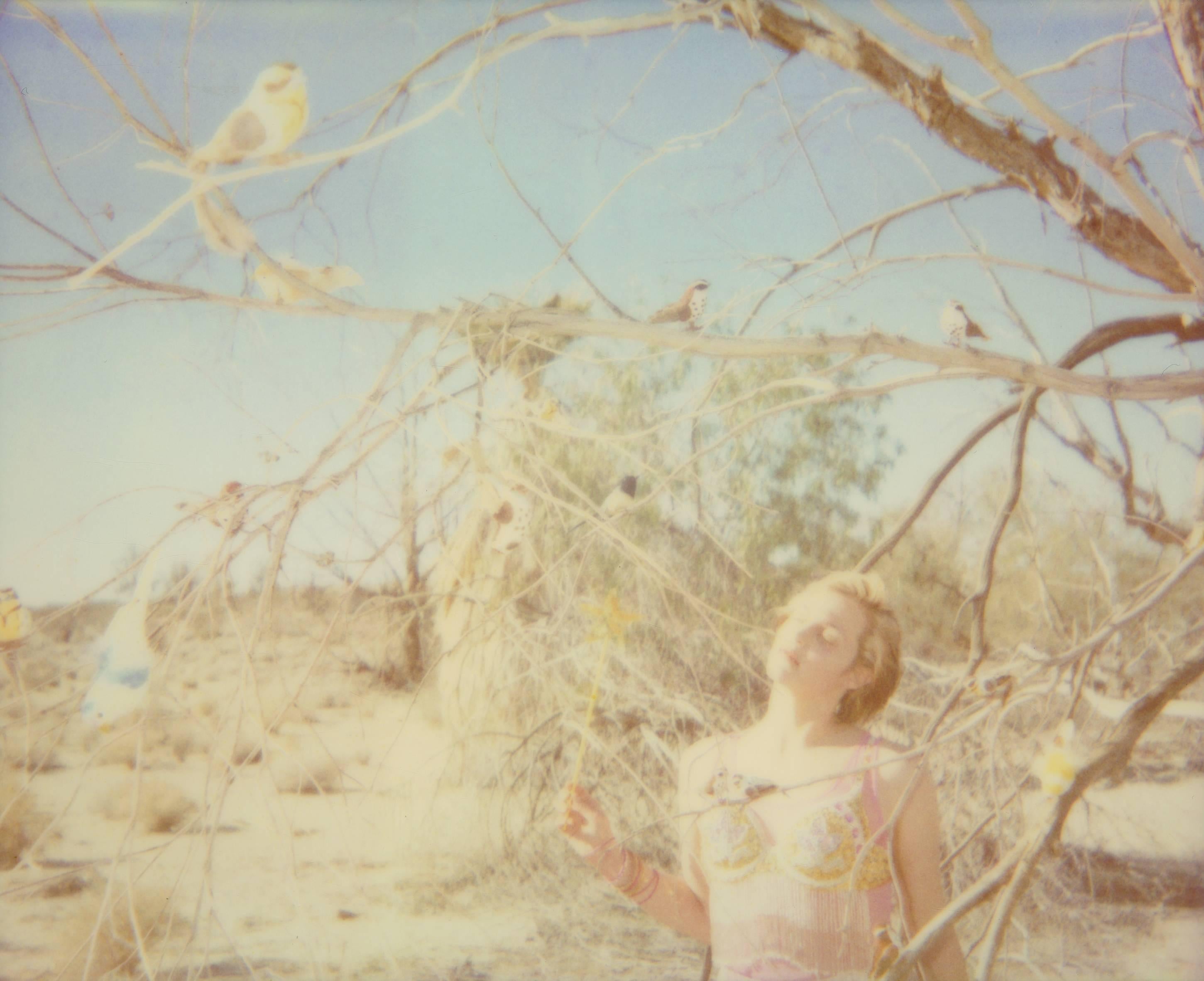 Color Photograph di Stefanie Schneider - Cerchio della Magia - Incantesimo (29 Palms, CA)