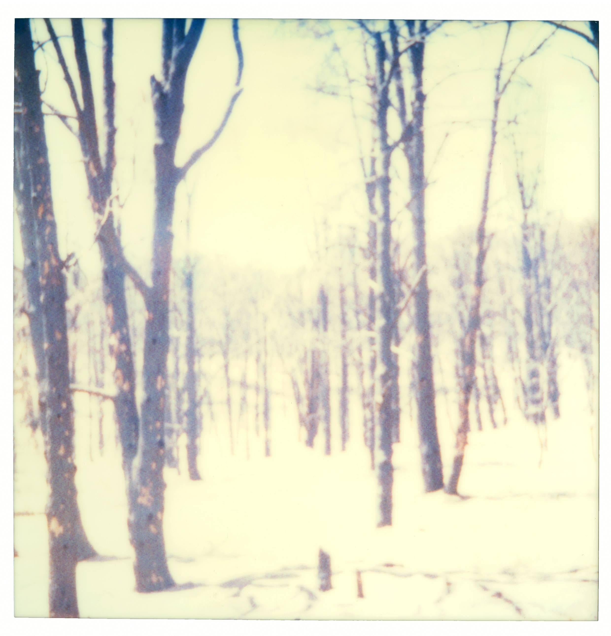 Stefanie Schneider Portrait Photograph - Contemporary, Abstract, Landscape, USA, Polaroid, tree, Schneider, Instantdreams