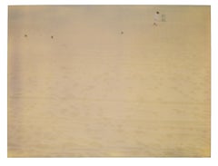 Untitled (Venice Beach) - Contemporary, Landscape, expired, Polaroid, analog