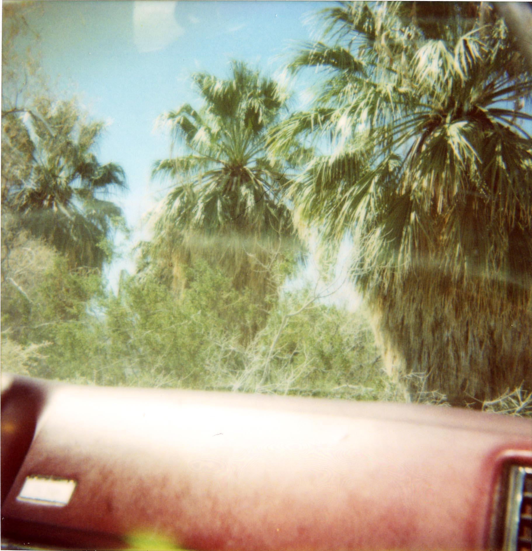 Stefanie Schneider Landscape Photograph - Dashboard Palm Trees (Sidewinder) - Polaroid, 21st Century, Landscape, Color