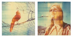 Daydream (Haley and the Birds) - diptych