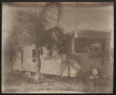 Wüstenleben (California Träumen) – Zeitgenössisch, 21. Jahrhundert, Polaroid