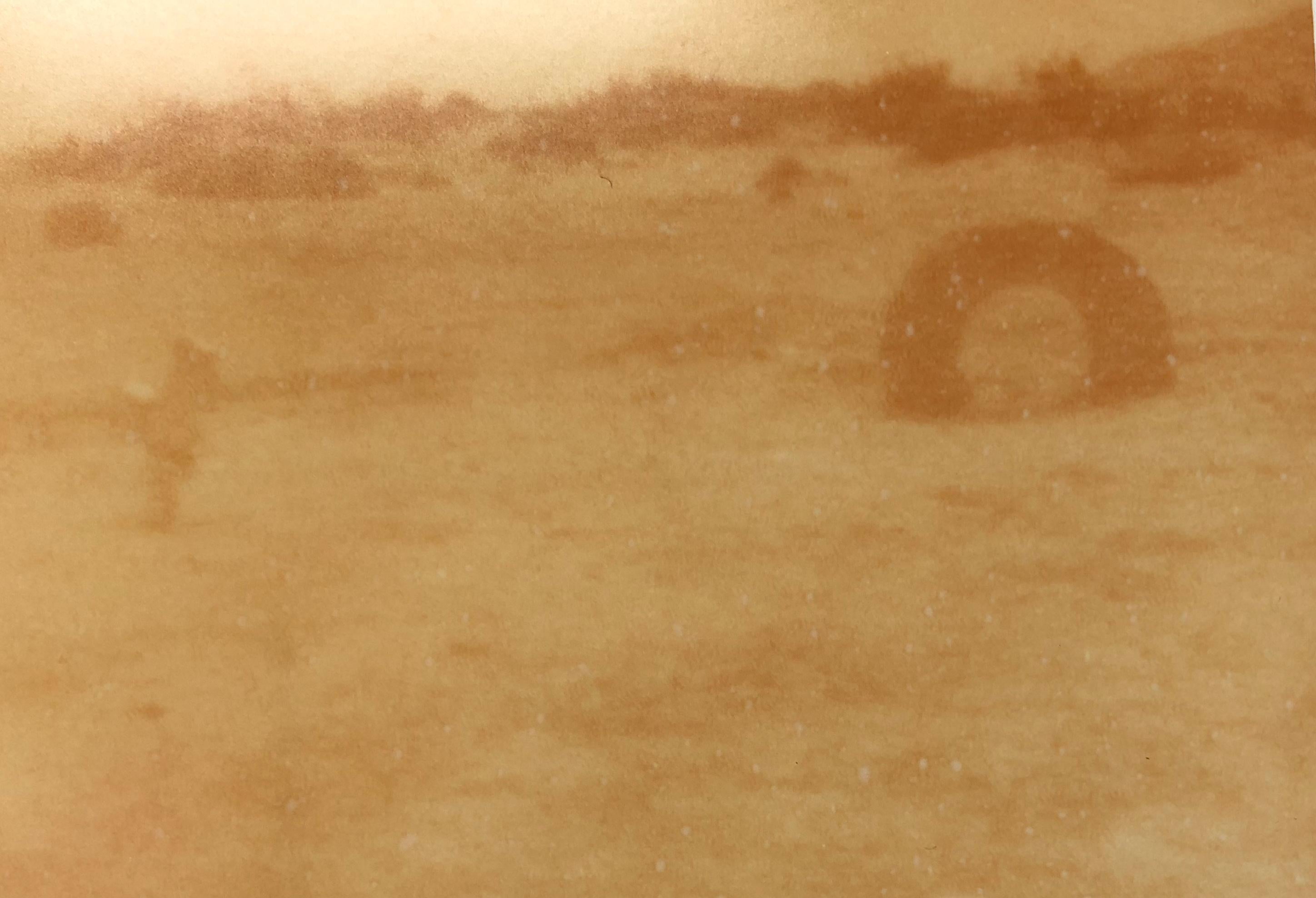 Desert Playground (30e anniversaire d'Oxana) - Contemporain, Paysage, Polaroid - Marron Landscape Photograph par Stefanie Schneider