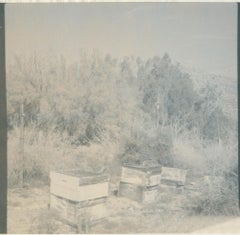 Used Deserted Bee Boxes (California Dreaming) - Contemporary, 21st Century, Polaroid