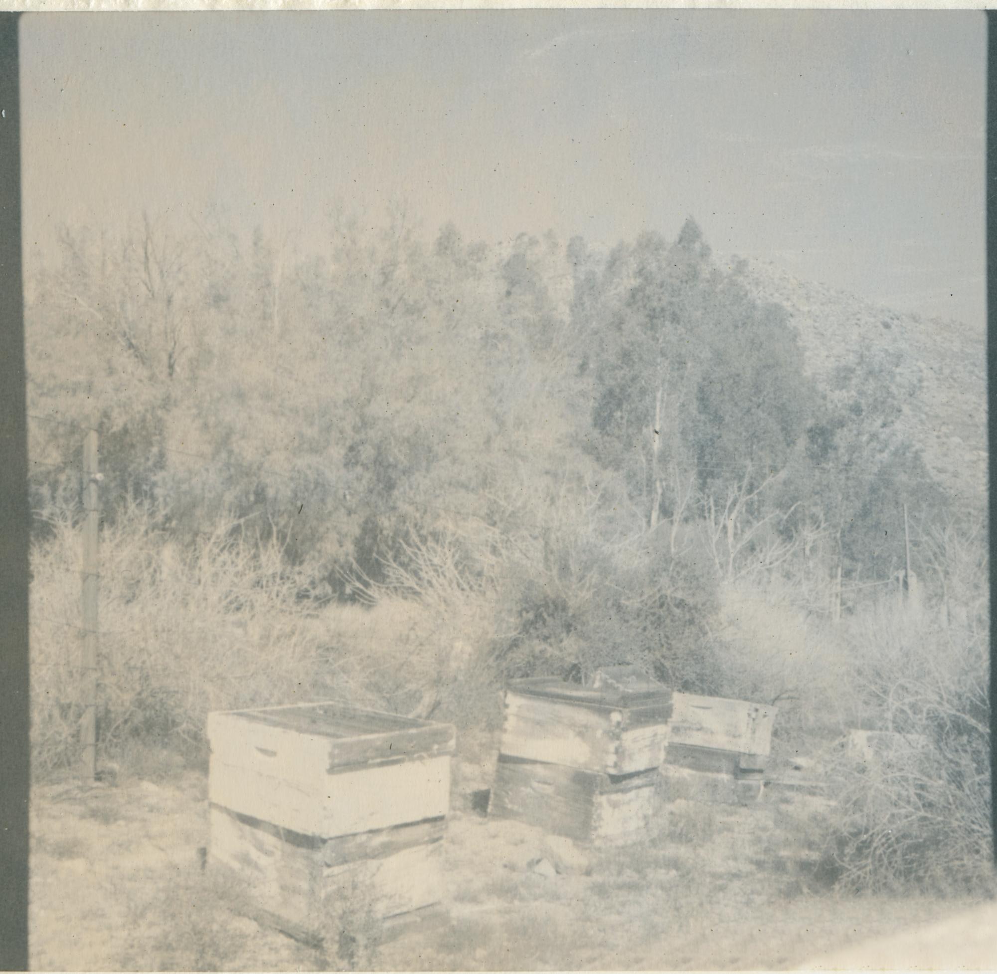 Stefanie Schneider Landscape Photograph - Deserted Bee Boxes (California Dreaming) - Contemporary, 21st Century, Polaroid