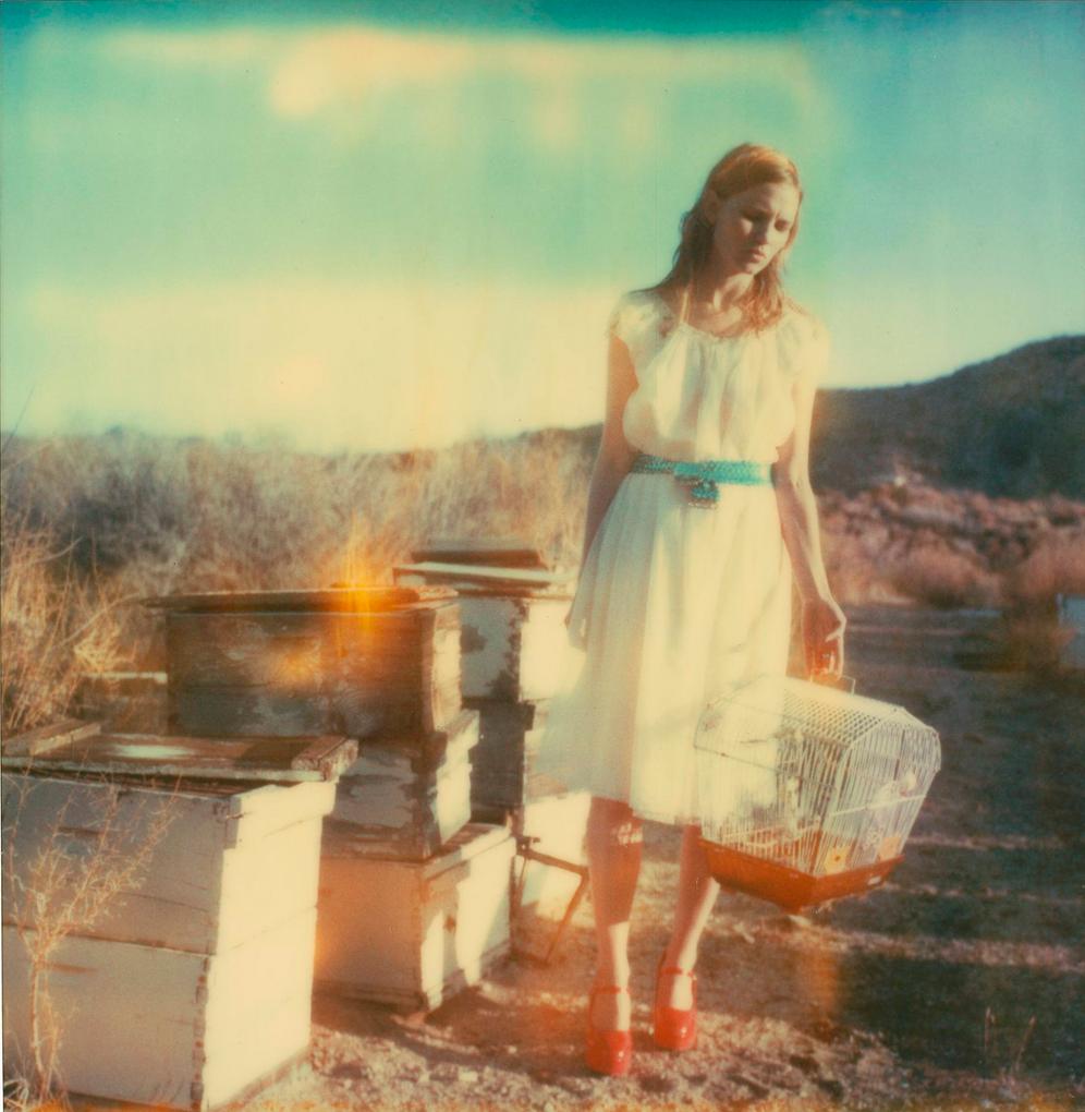 Stefanie Schneider Landscape Photograph - Desolate (Haley and the Birds) - Polaroid