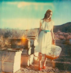 Desolate (Haley and the Birds) - Polaroid