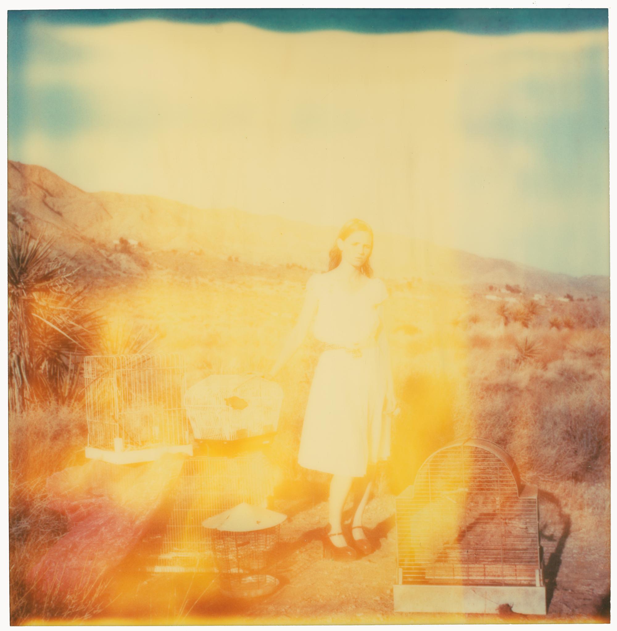 Stefanie Schneider Portrait Photograph - Divinity (Haley and the Birds)