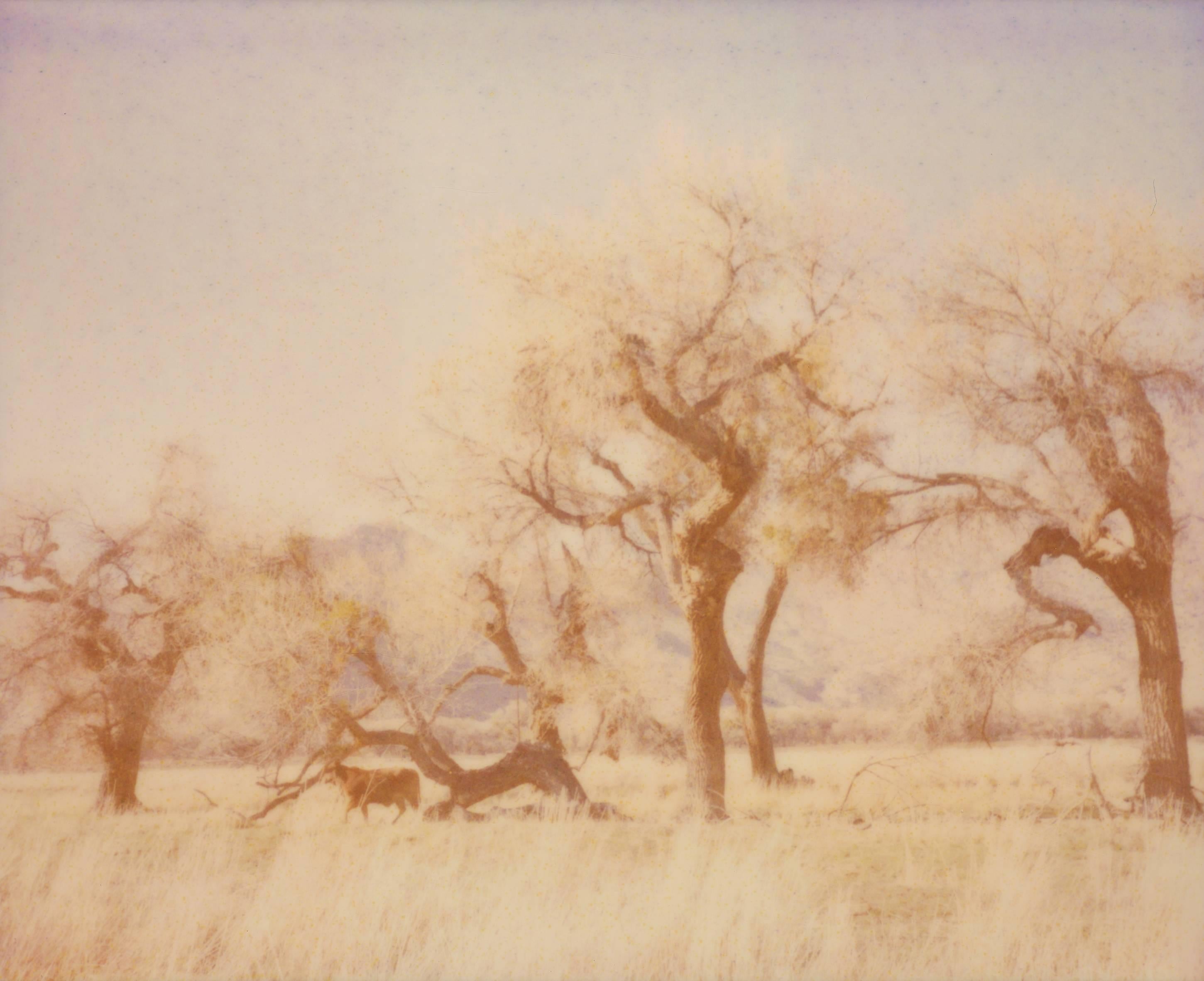 Stefanie Schneider Landscape Painting - Dreaming of Buffalo - Contemporary, Landscape, USA, Polaroid