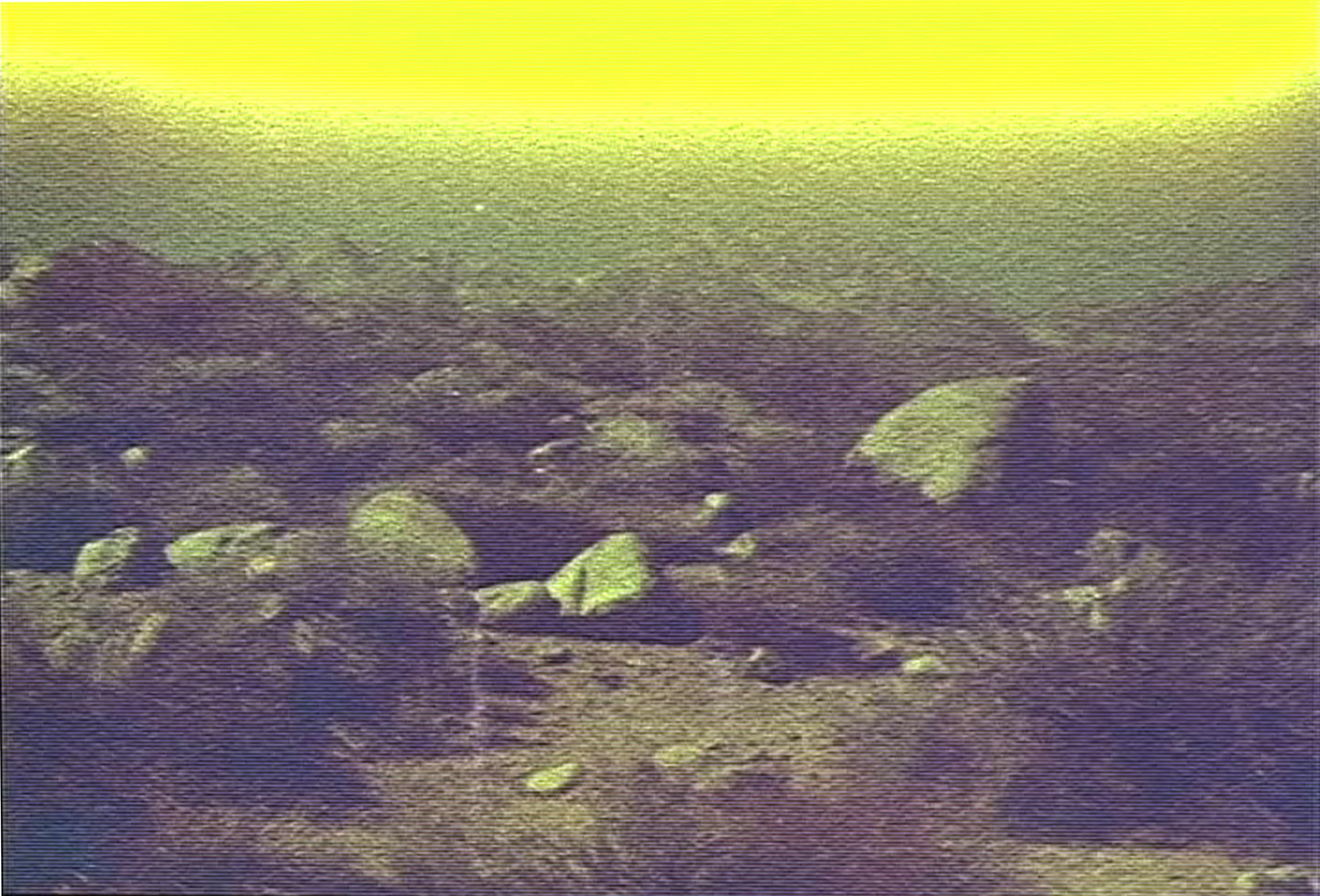 Dreamscape (29 Palms, CA) - incluso il libro 