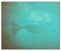 Dugong II - Stay Contemporary, bleu, Polaroid, paysage, photographie, couleur