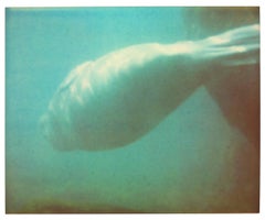 Dugong IV - Stay, contemporain, Polaroid, couleur, Coney Island, animal, bleu