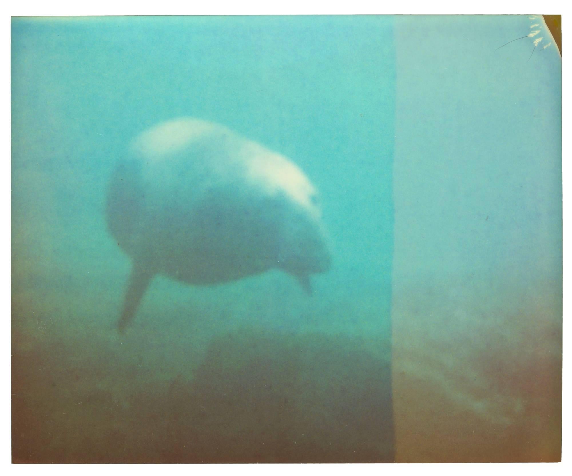Stefanie Schneider Color Photograph - Dugong - Stay, Contemporary, Abstract, Landscape, USA, Polaroid, Photograph