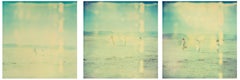 Enchanted ( Dream Scene on Salt Lake), Triptychon