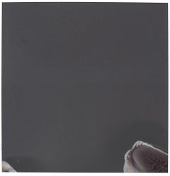 Eternity (Deconstructivism) - Contemporary, Expired Polaroid
