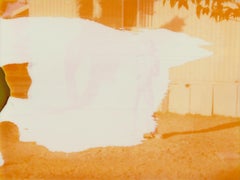 Portrait Photography