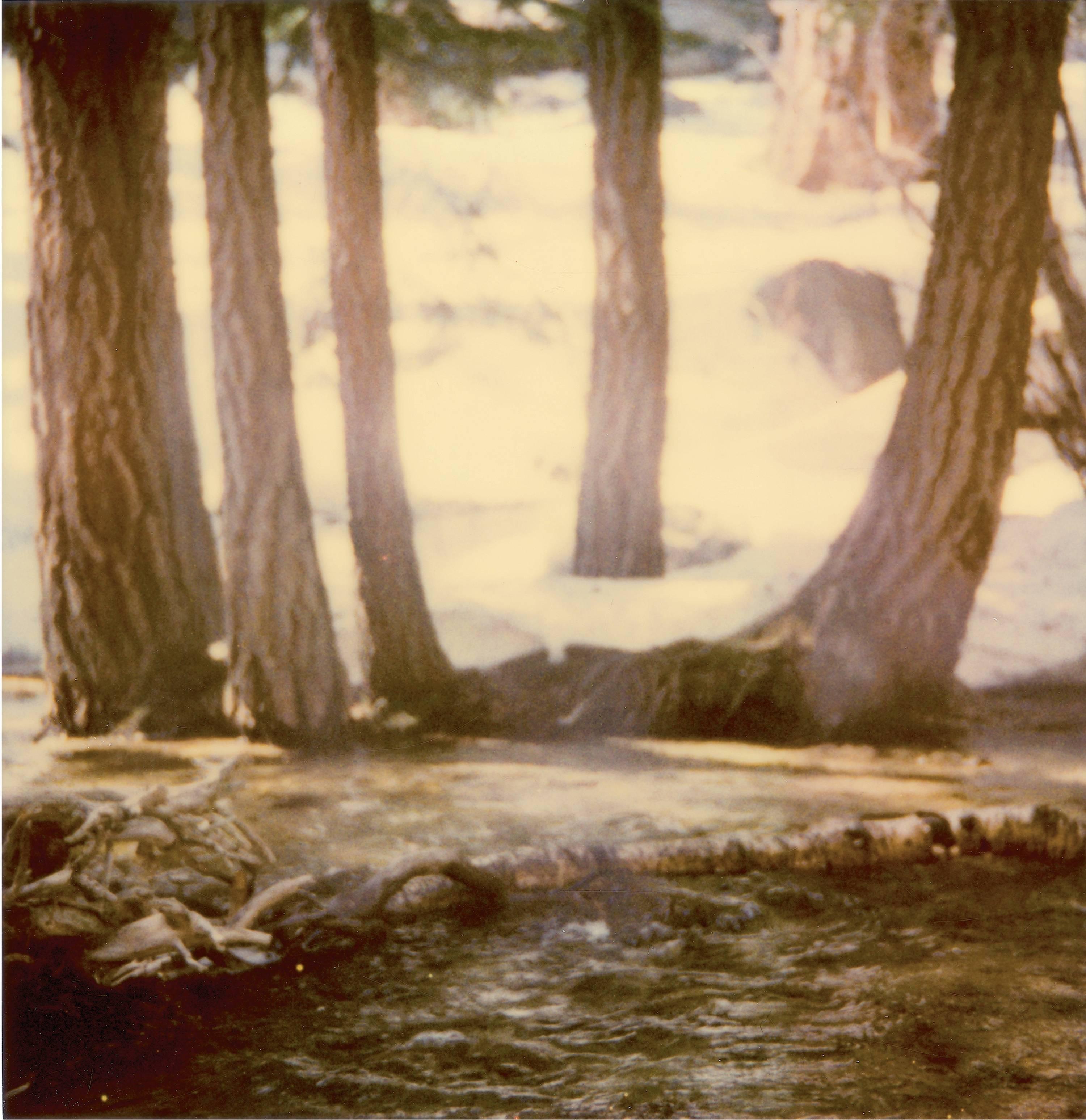 Fairytales (diptych) - Contemporary, 21st Century, Polaroid, Figurative - Beige Portrait Photograph by Stefanie Schneider