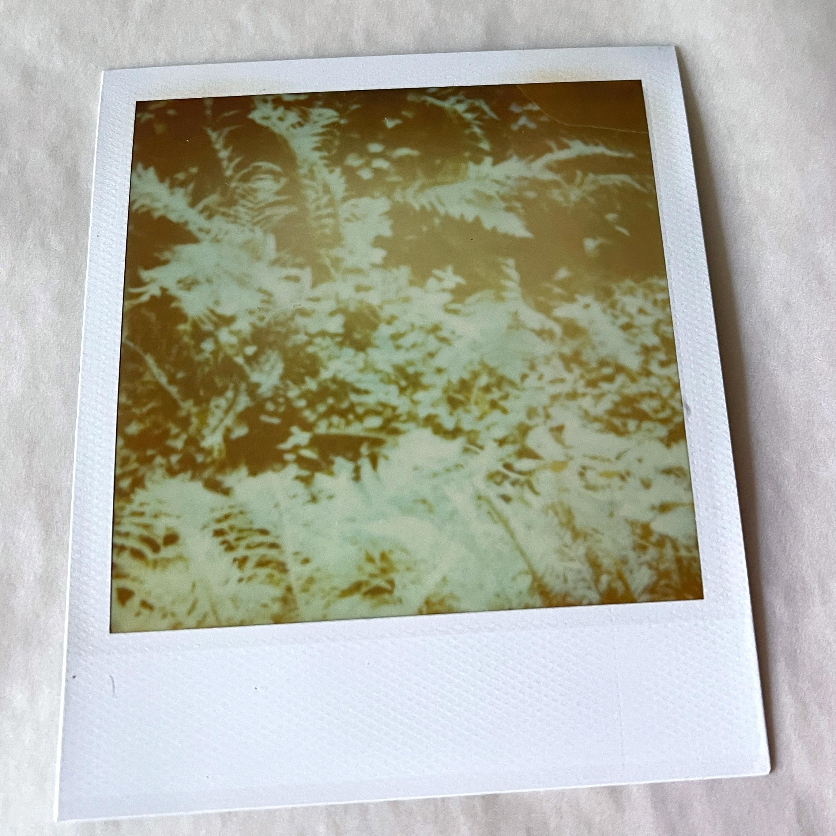Cuentos de hadas, tríptico - 3 Polaroids originales - Piezas únicas - Photograph Contemporáneo de Stefanie Schneider