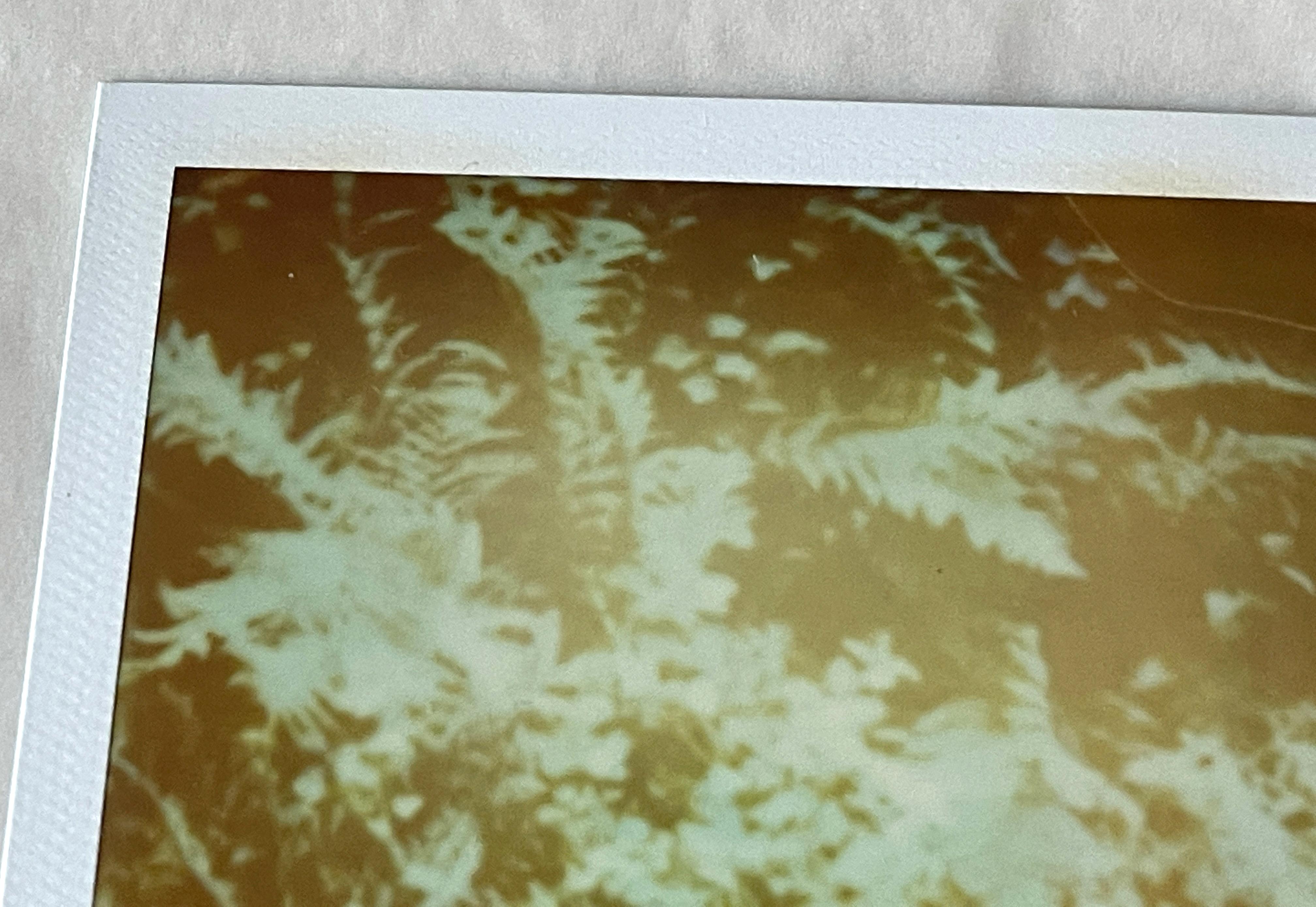 Märchen, Triptychon - 2004

Polaroid - 3 Unikate 1/1, 
7.8 x 7,7cm (Bildfläche)
jeweils 10,7 x 8,7 cm (einschließlich weißem Polaroidrahmen).
Verso signiert. 
Ungerahmt. 

Stefanie Schneiders schillernde Situationen spielen sich im amerikanischen
