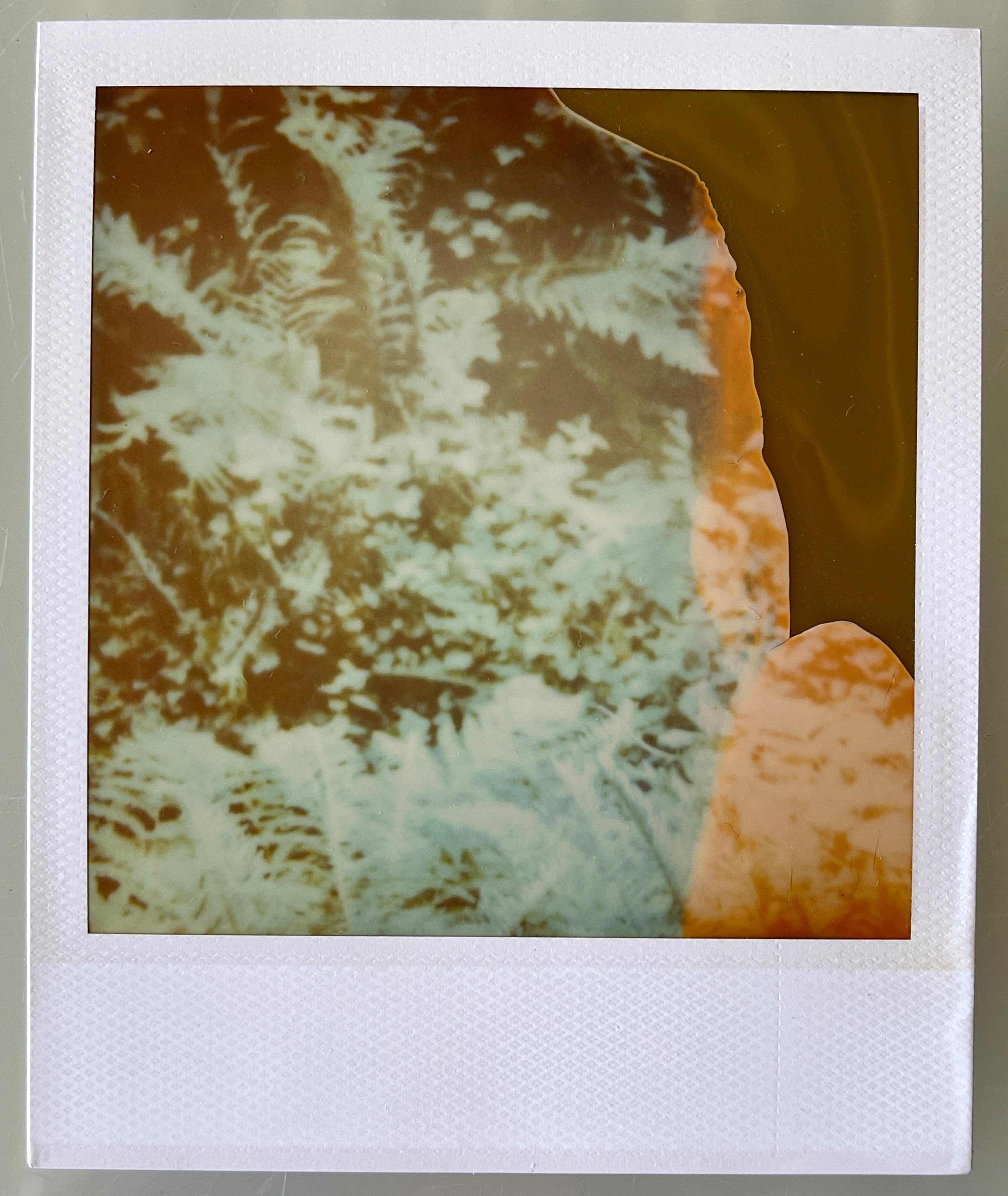 Cuentos de hadas, tríptico - 2004

Polaroid - 3 Piezas Únicas 1/1, 
7,8 x 7,7cm (área de imagen)
cada una de 10,7 x 8,7 cm (incluido el marco Polaroid blanco).
Firmado en el reverso. 
Sin enmarcar. 

Las brillantes situaciones de Stefanie Schneider