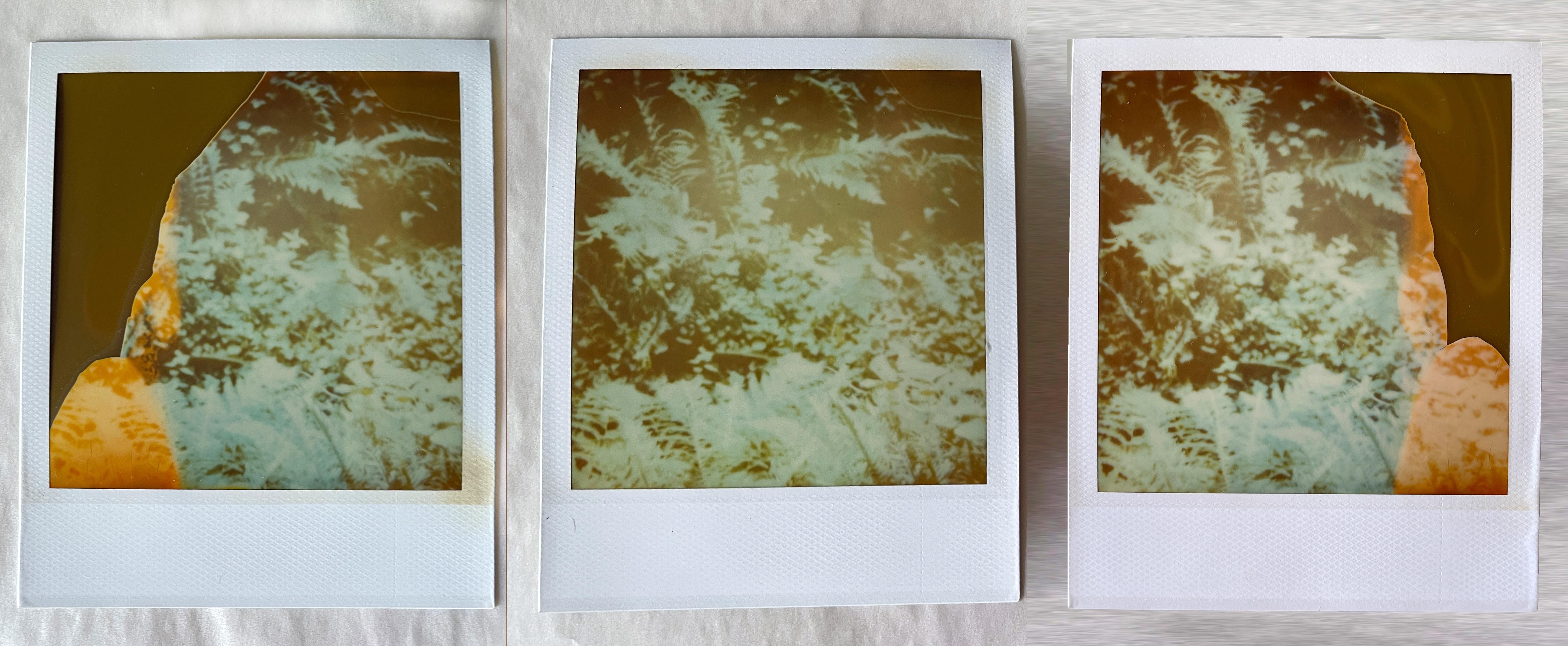Stefanie Schneider Portrait Photograph - Fairytales, triptych - 3 Original Polaroids - Unique pieces