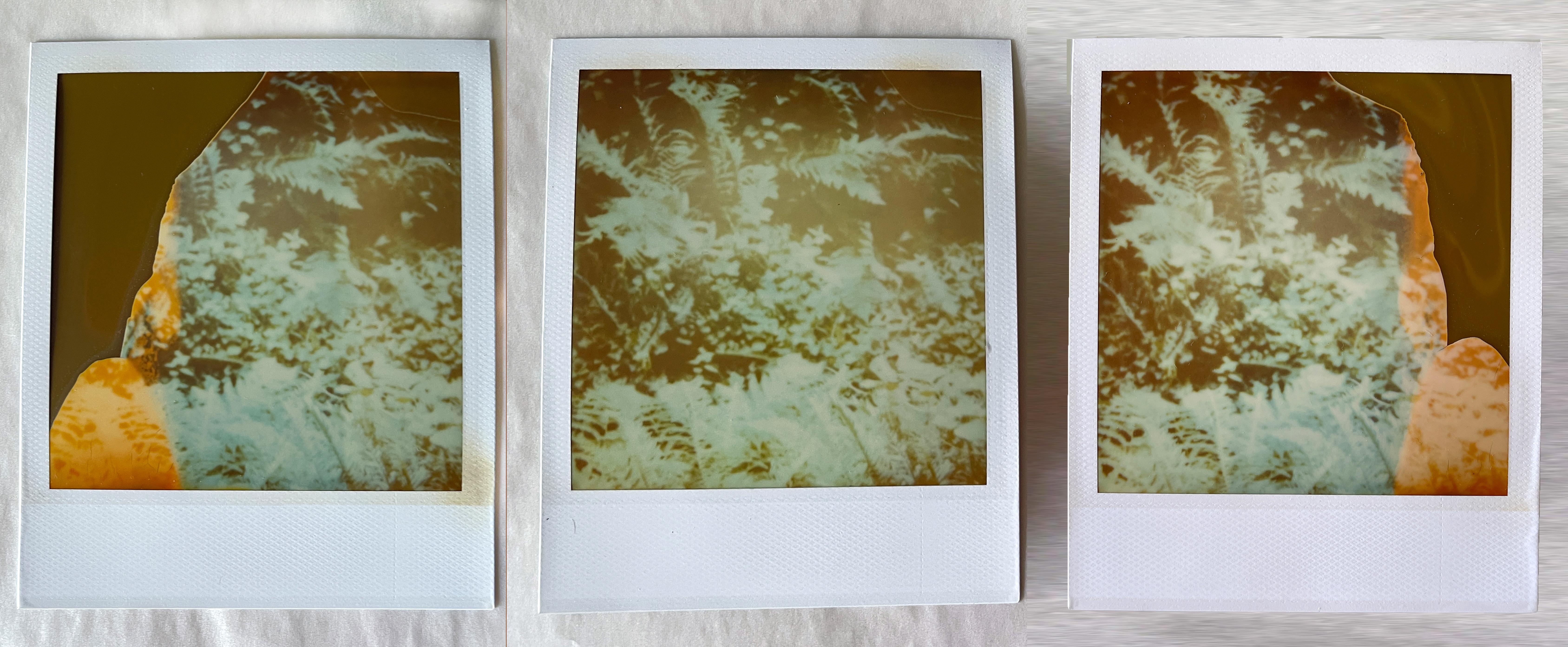 Stefanie Schneider Portrait Photograph – Märchen, Triptychon - 3 Original Polaroids - Unikate