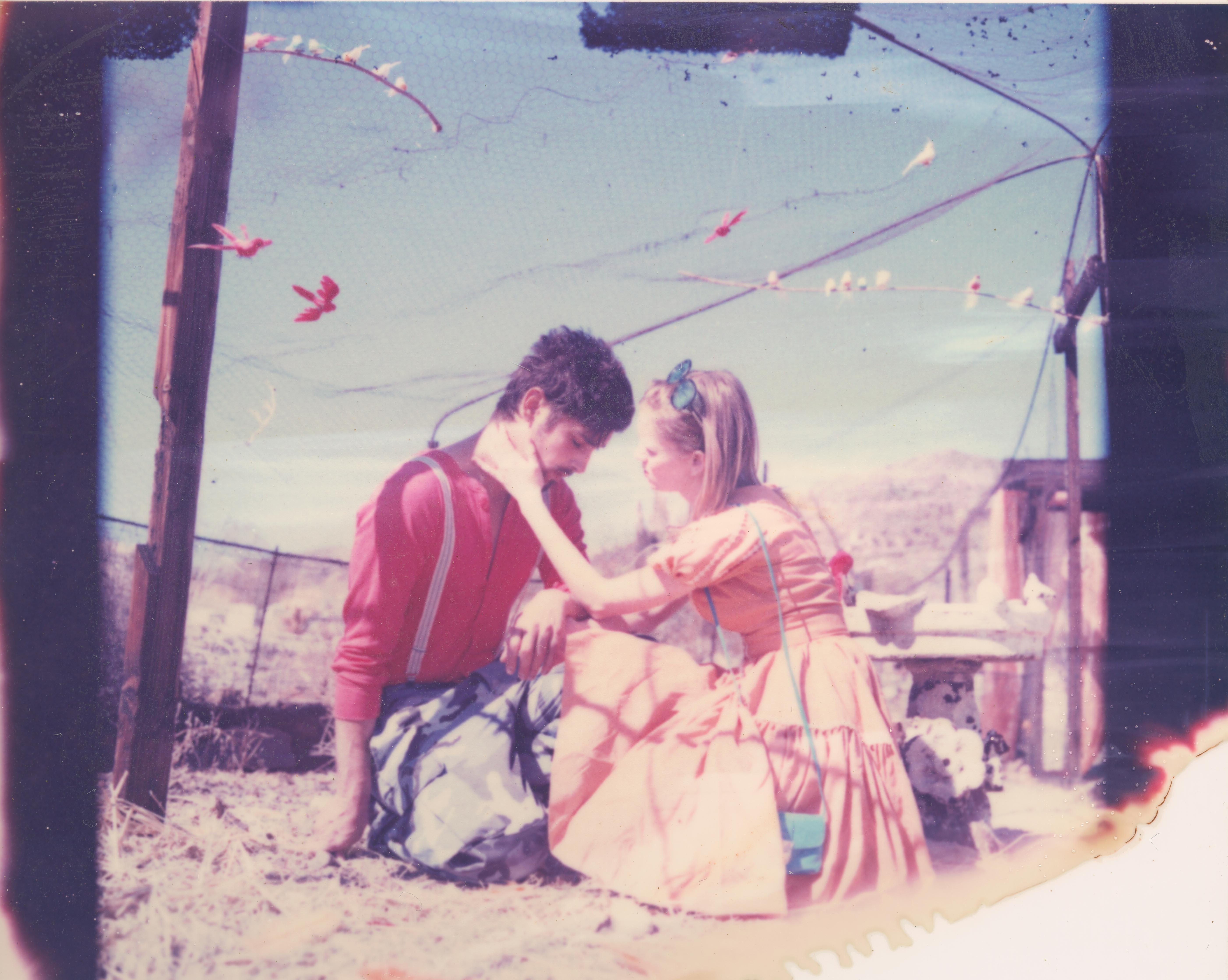 Stefanie Schneider Color Photograph – Farewell (Haley und die Vögel) –  Zeitgenössisches, Landschaft, Polaroid