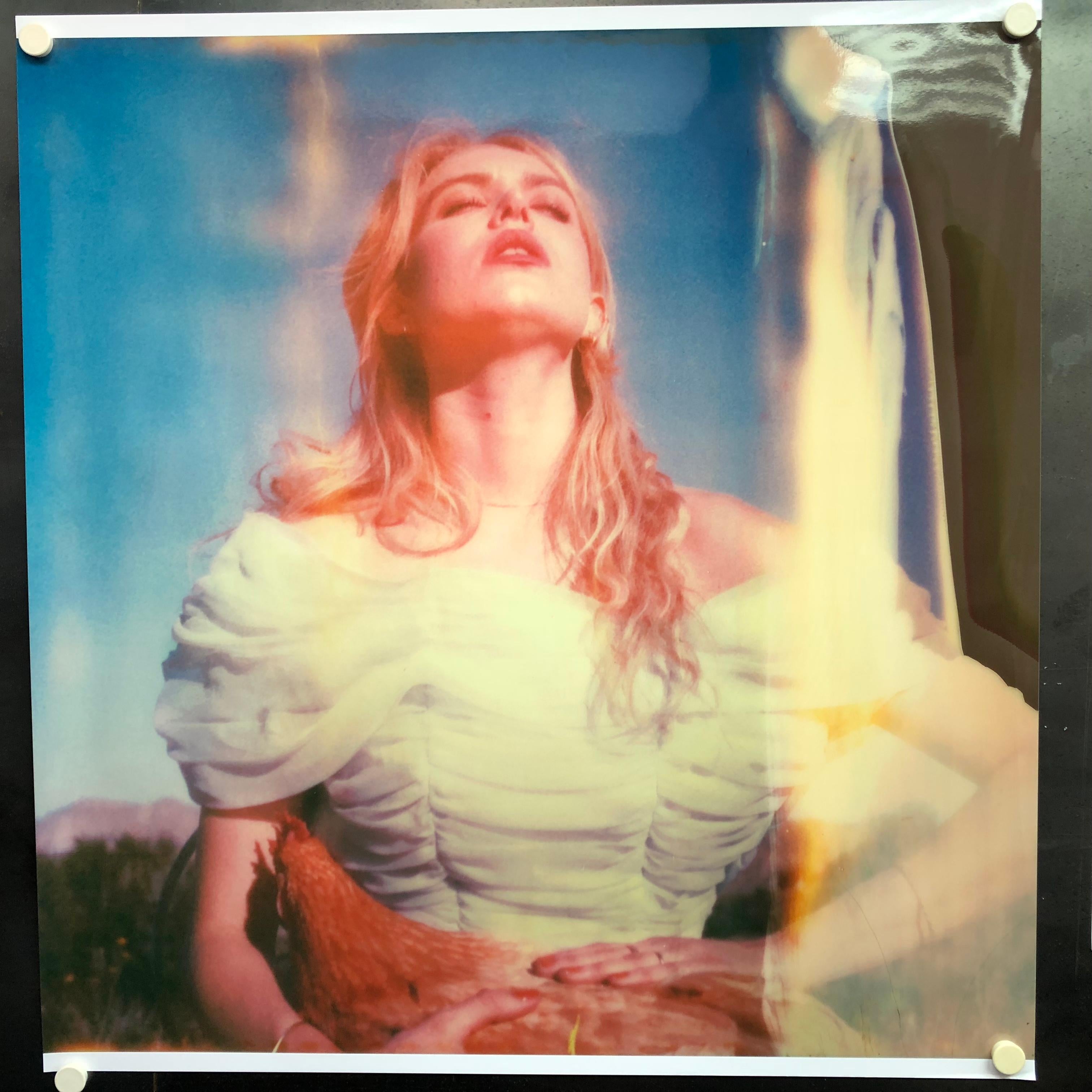 Toque de Pluma (Pollitos y Pollitas y a veces Gallos) - basado en la Polaroid - Photograph Contemporáneo de Stefanie Schneider