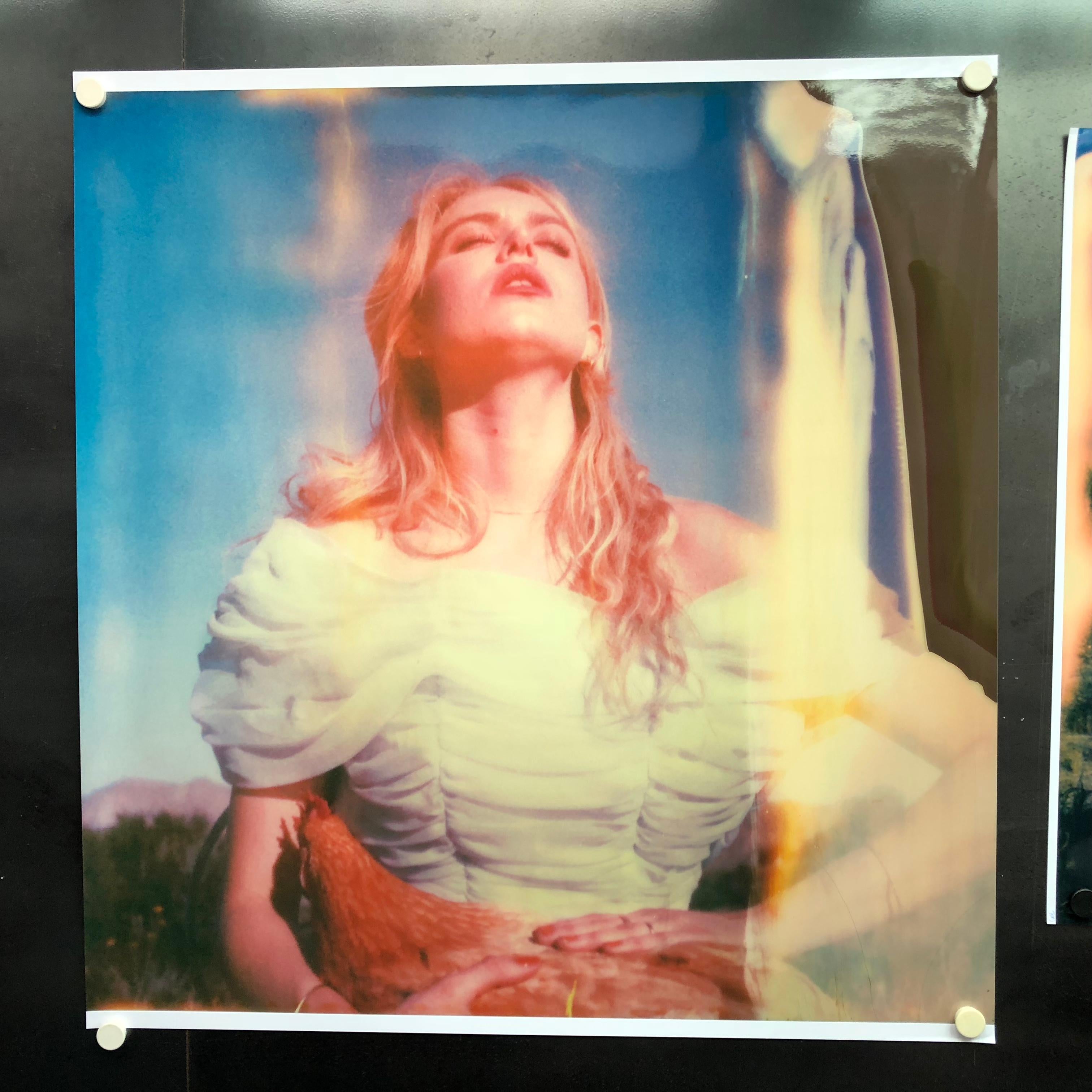 Toque de Pluma (Pollitos y Pollitas y a veces Gallos) - basado en la Polaroid - Color Photograph Gris de Stefanie Schneider