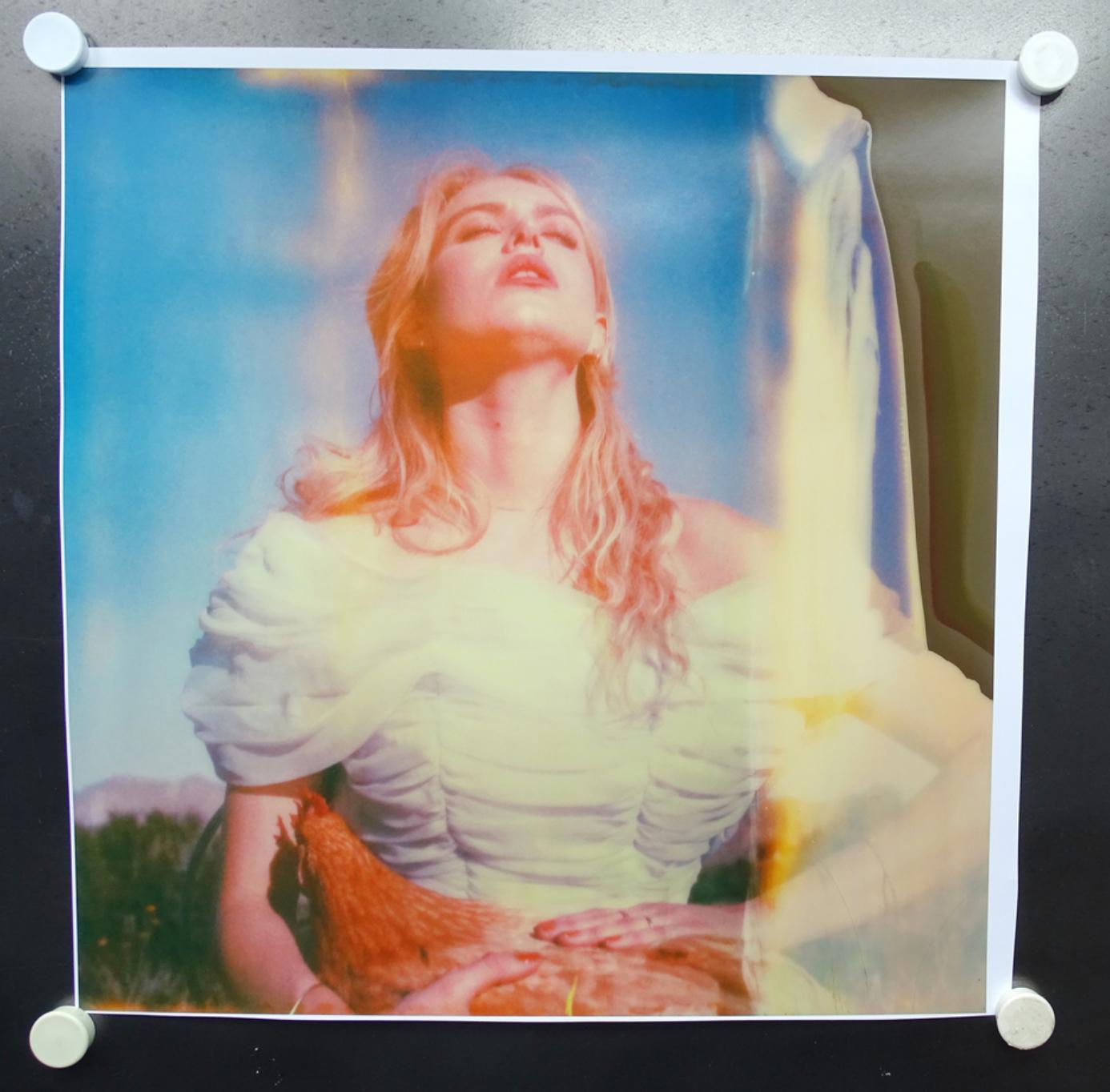 Stefanie Schneider Color Photograph – Feder touch (Kissen und Küken, manchmal auch Küken) – Polaroid