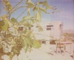 „The Girl behind the White Picket Fence“ (Das Mädchen hinter dem weißen Zaun) – Polaroid, Landschaft