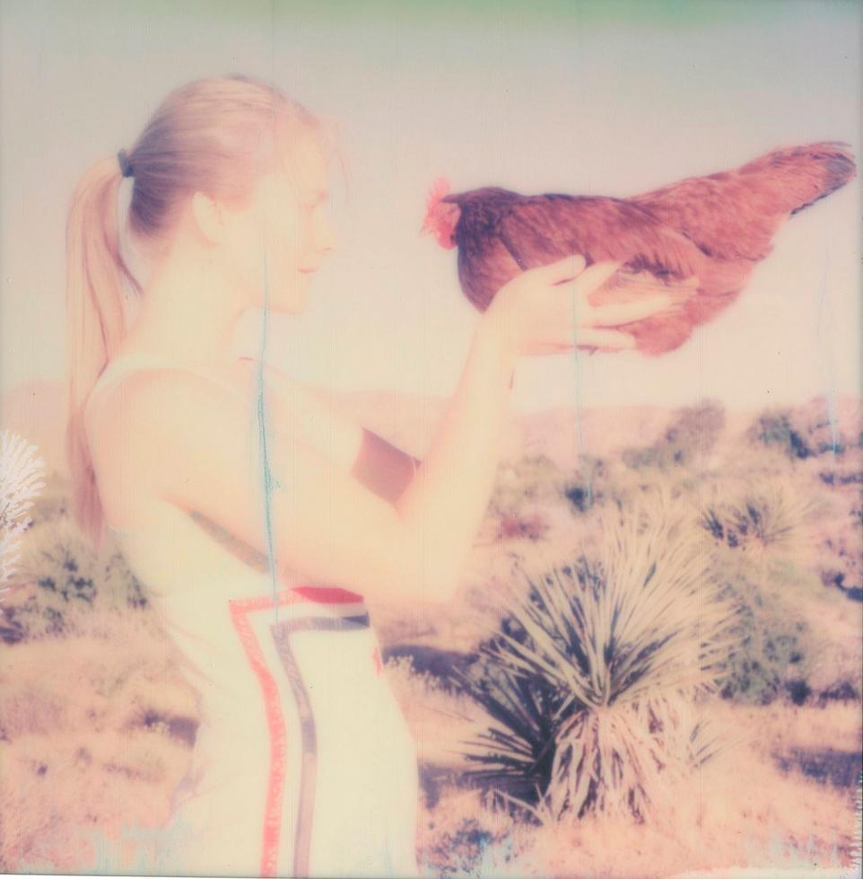 Stefanie Schneider Color Photograph - Fellow prisoners of the Splendour (Chicks and Chicks) - Polaroid